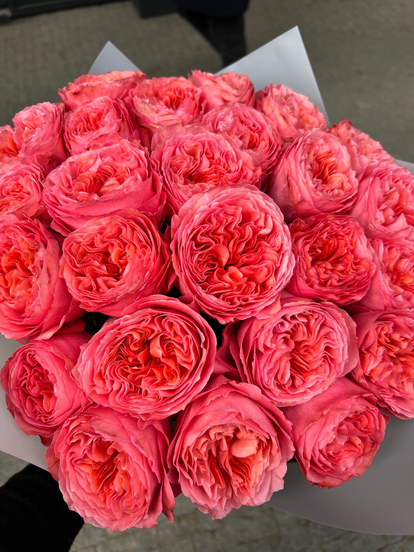 Пионовидные розы Candy