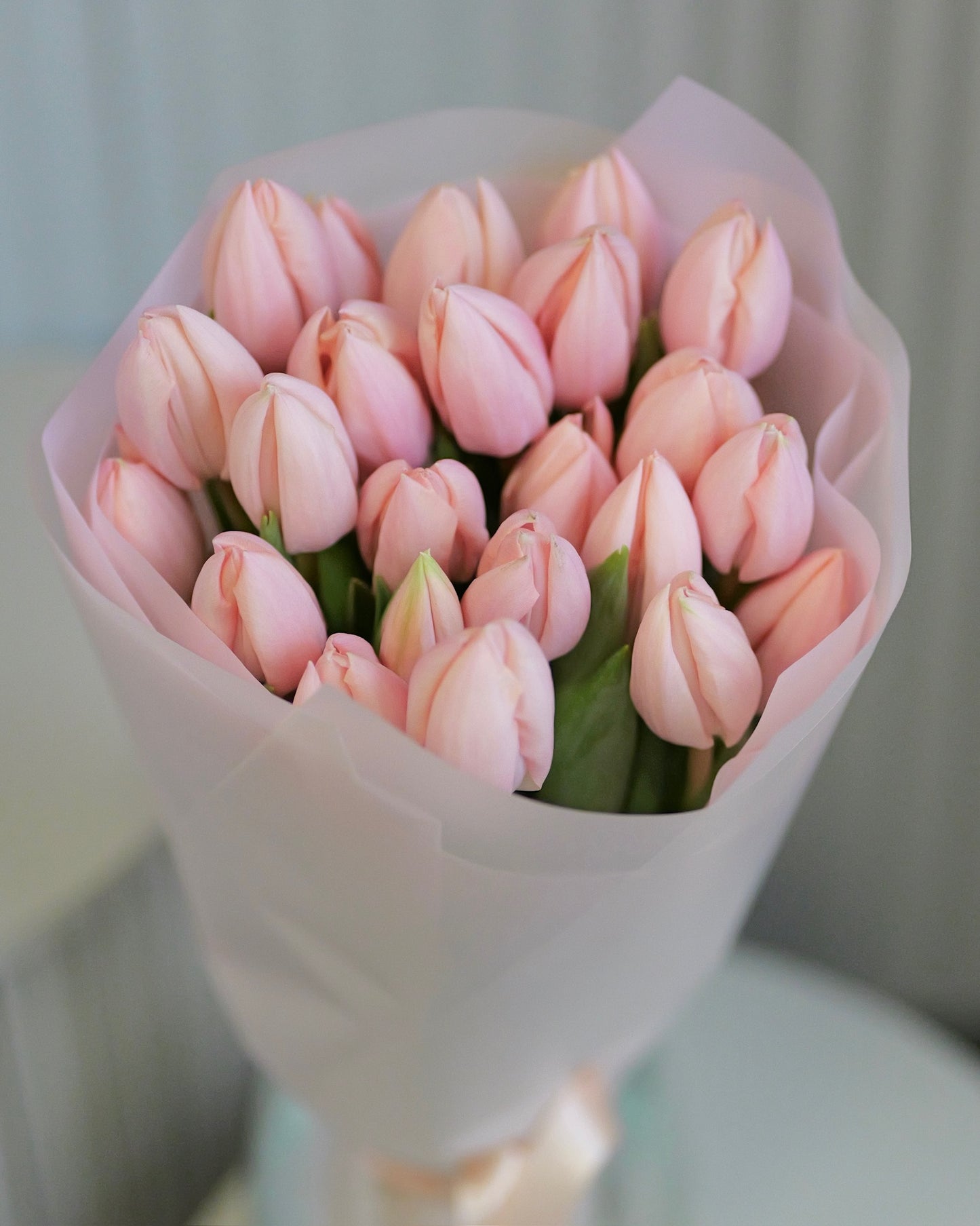 
                  
                    Lososové tulipány Premium Thijs Boots
                  
                