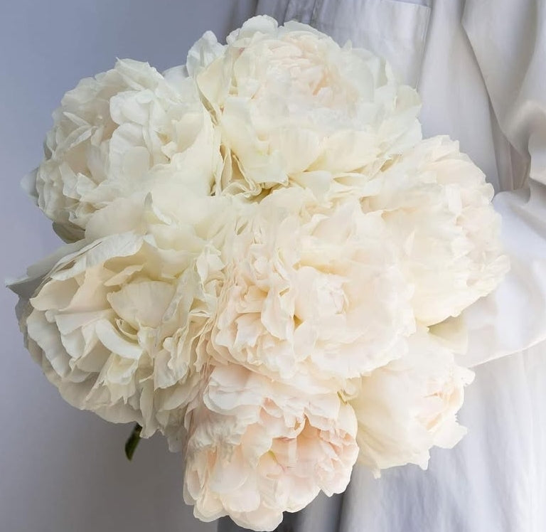 Puffed Cotton