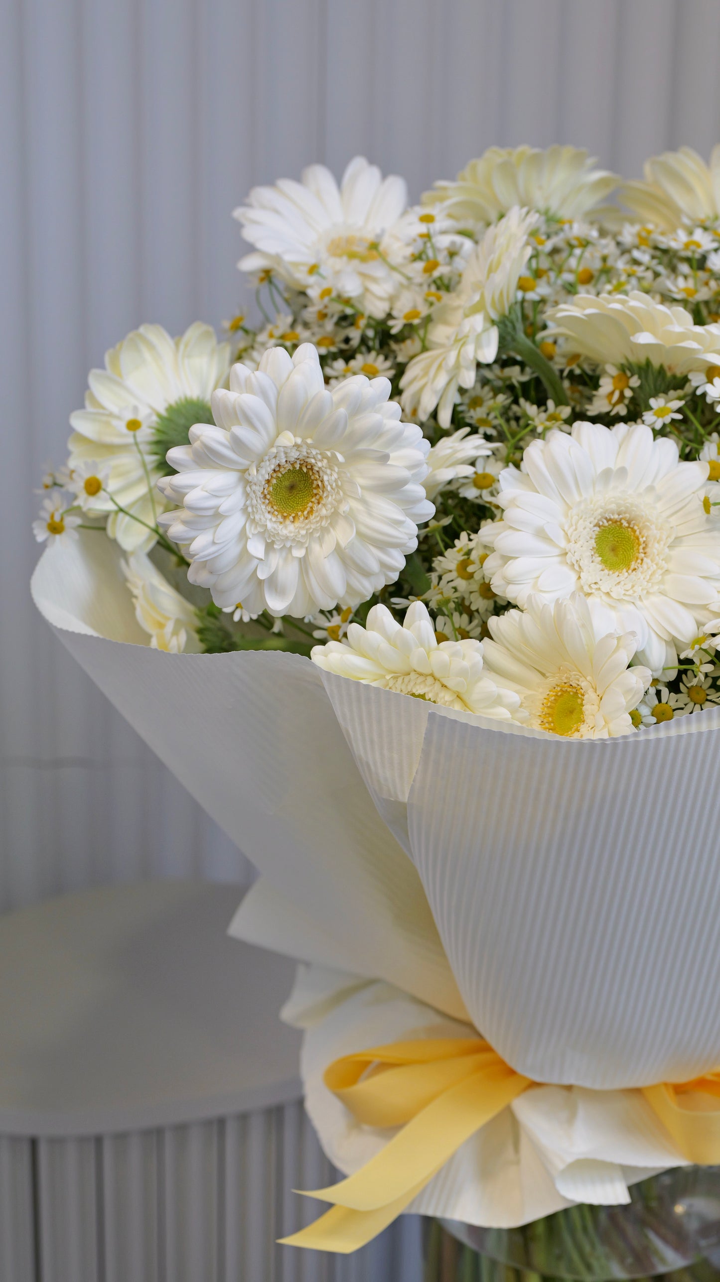 
                  
                    Sedmikráska - luční kvítí
                  
                