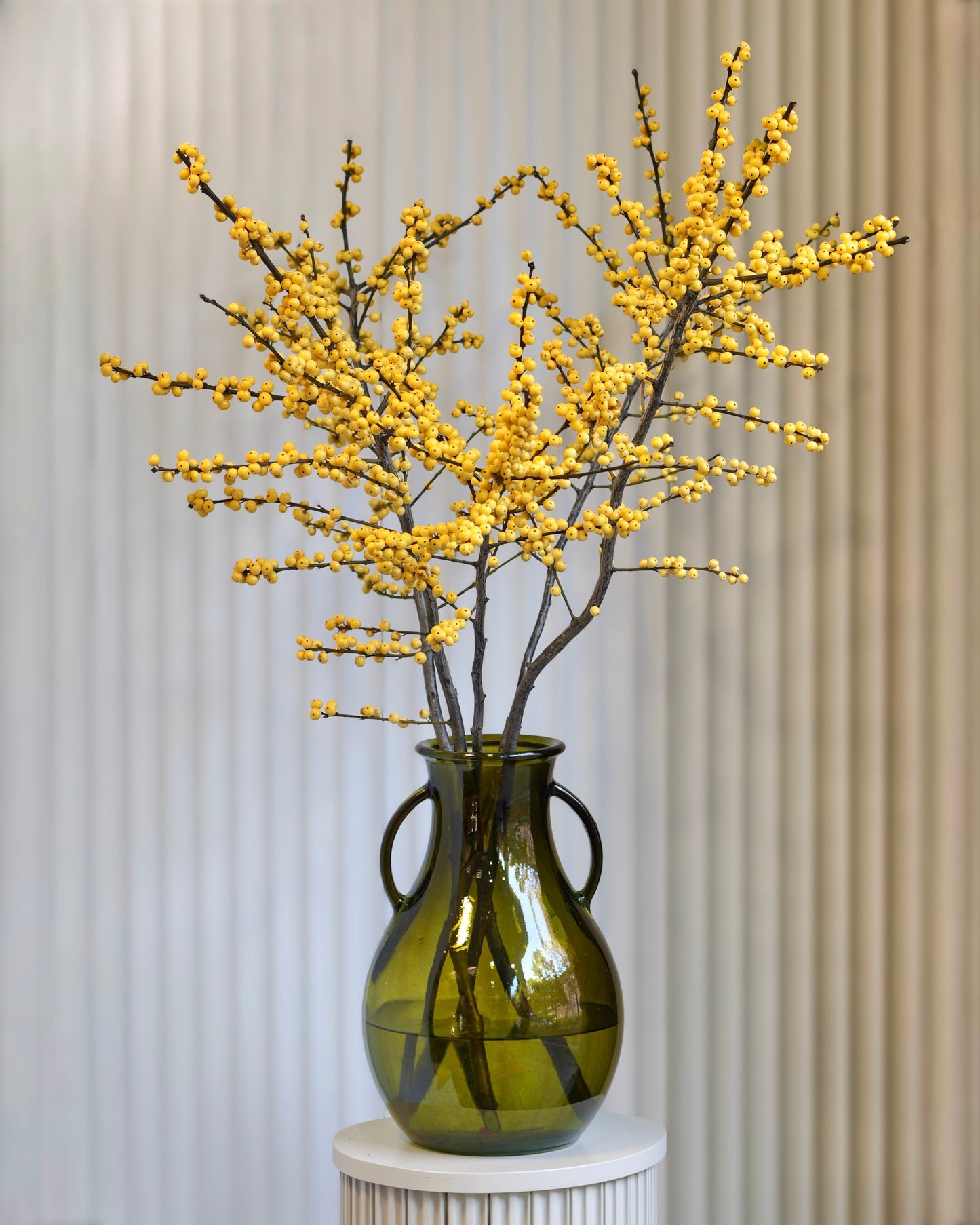 
                  
                    Ilex – zimní větvičky s červenými bobulemi
                  
                