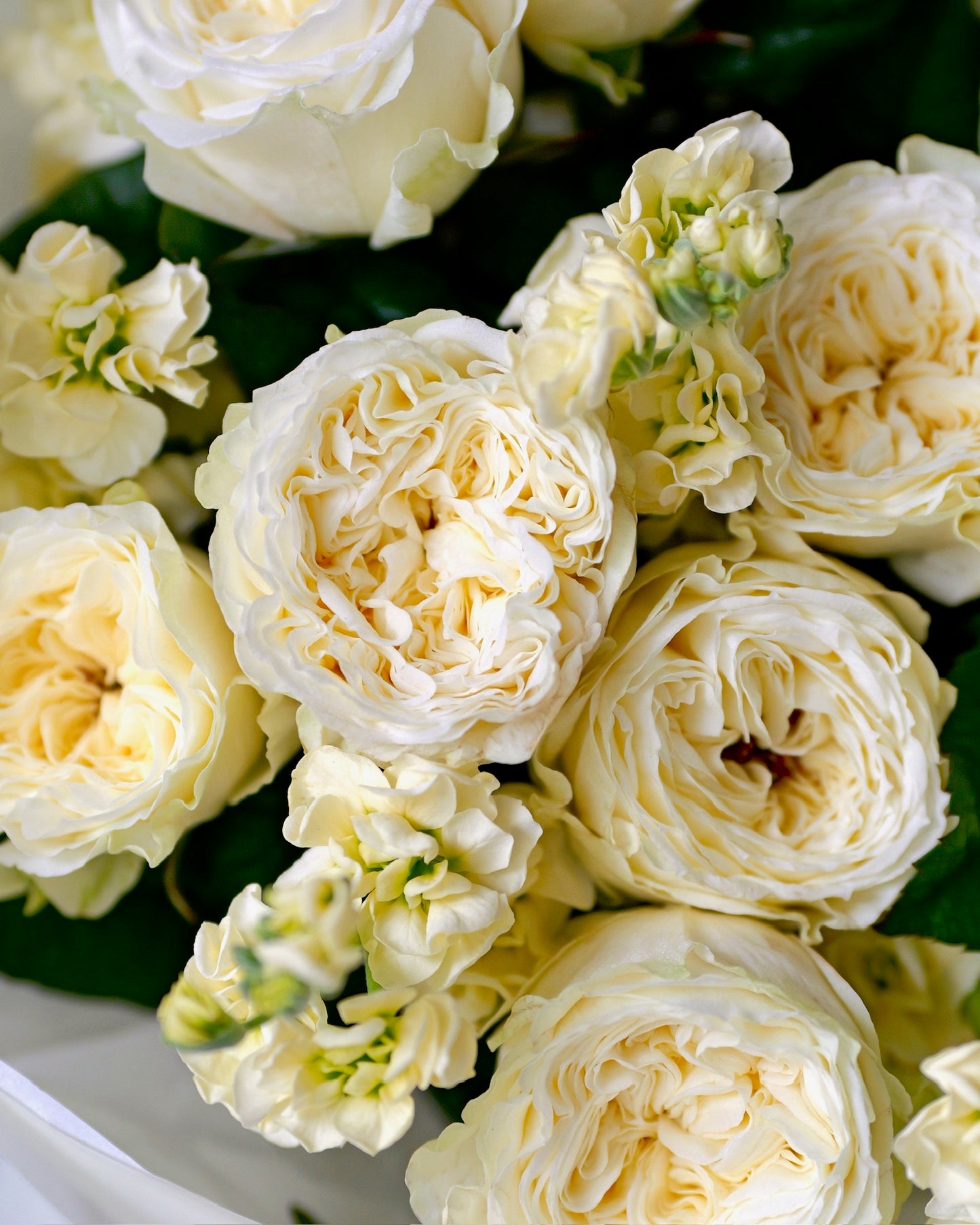 
                  
                    Sezónní kytice Garden Roses
                  
                