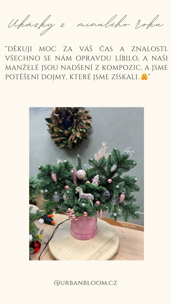
                  
                    Vánoční workshop 02.12
                  
                