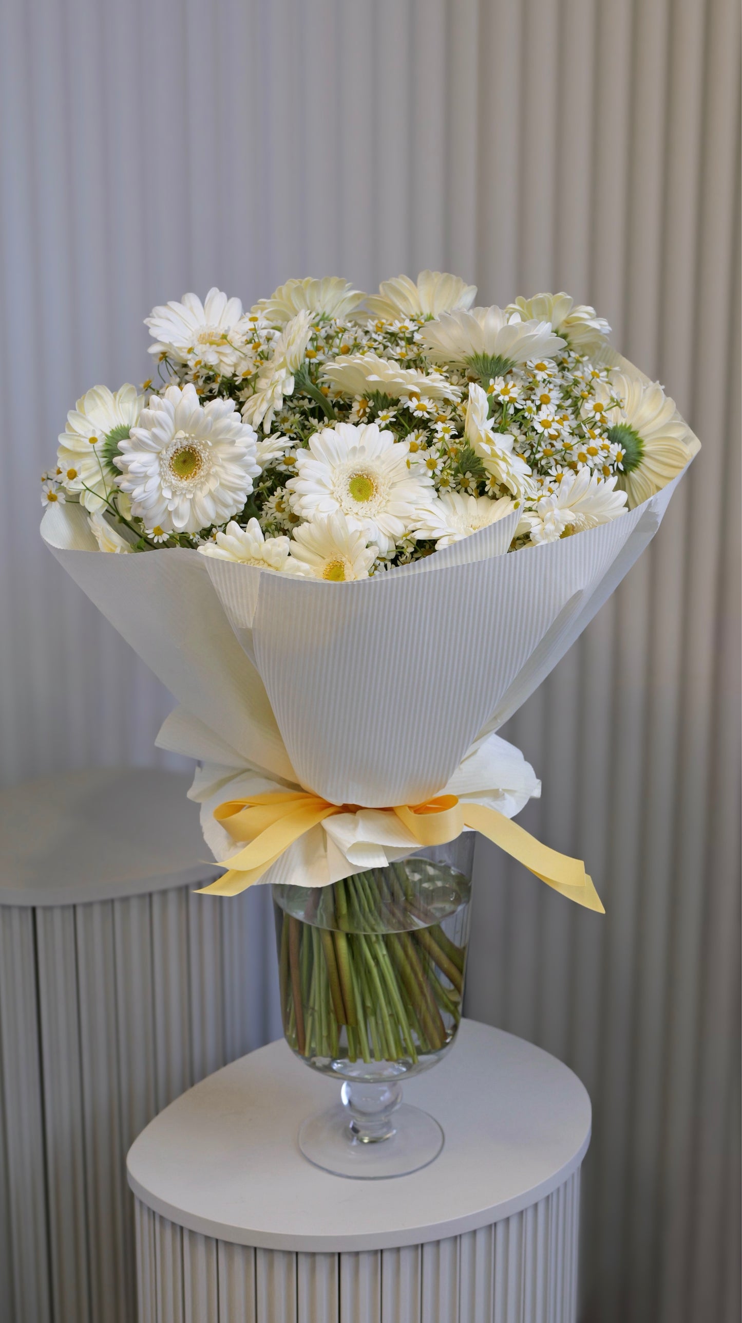 
                  
                    Sedmikráska - luční kvítí
                  
                