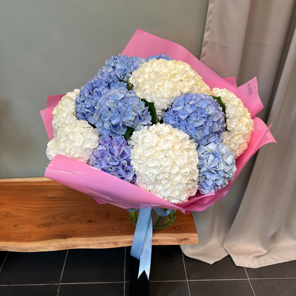 
                  
                    Hydrangea's bouquet
                  
                