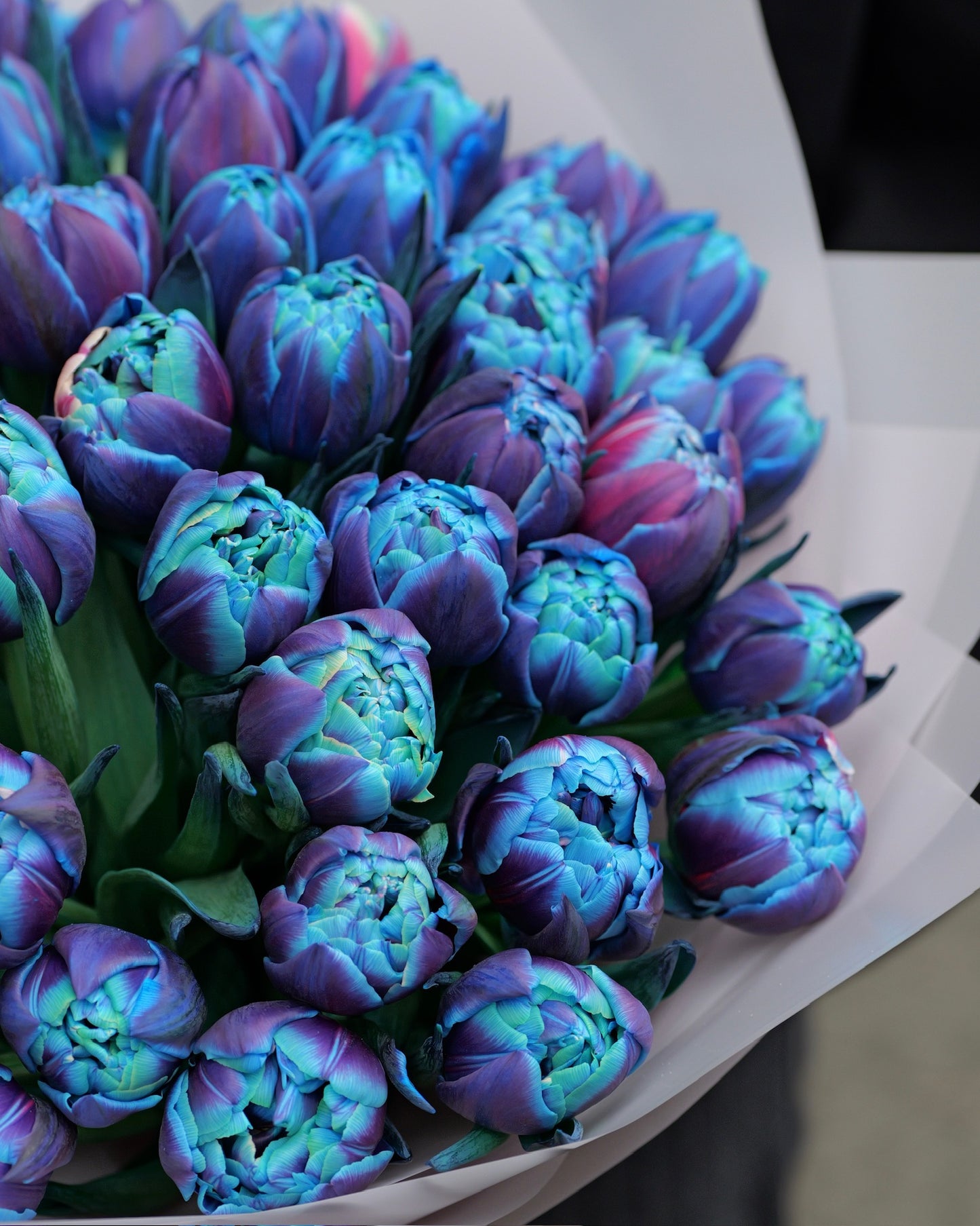 
                  
                    Синие тюльпаны Double Bubble
                  
                