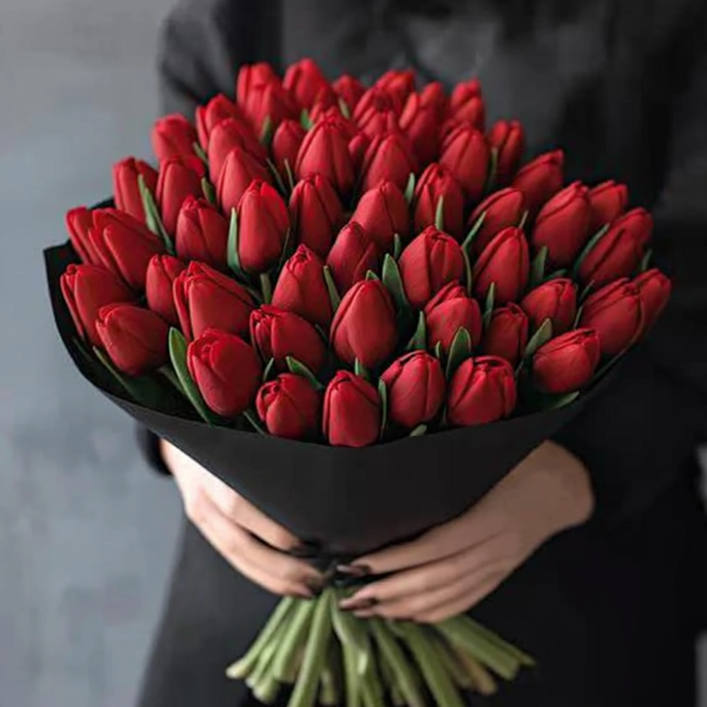 Červené tulipány
