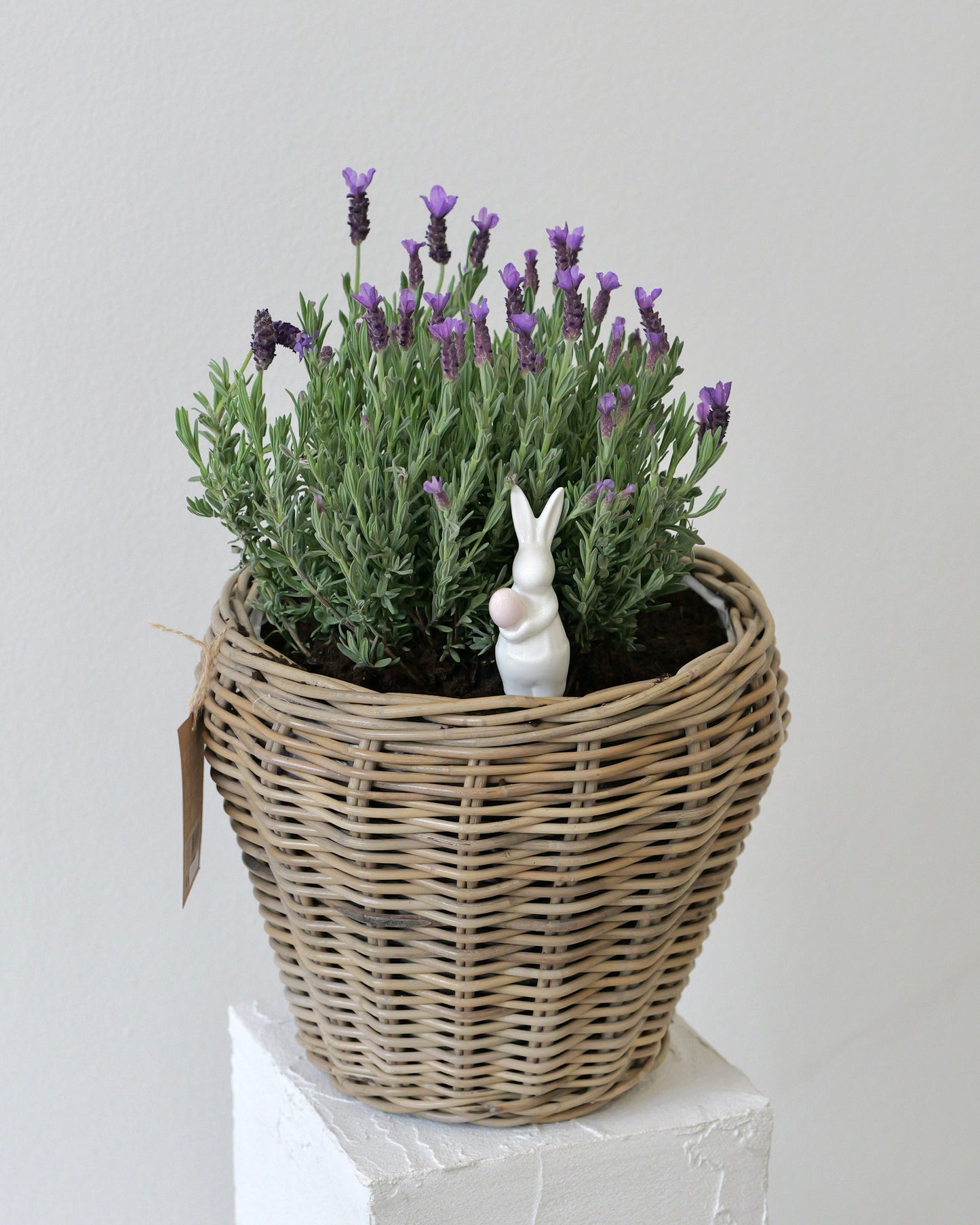 Velikonoční dekorace