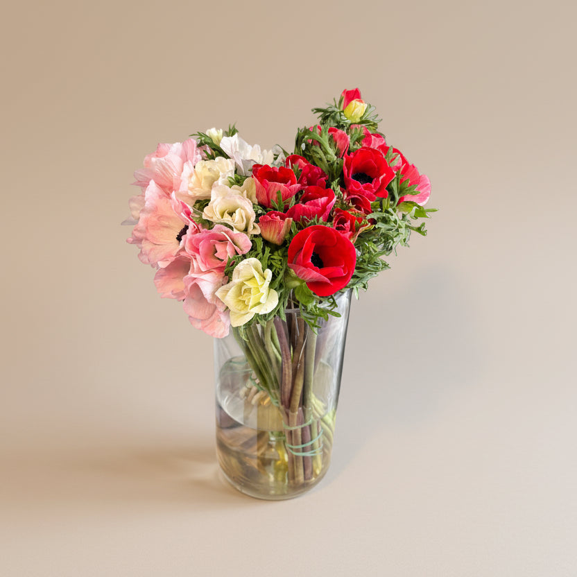 Kytice sasanky anemony Praha květiny 