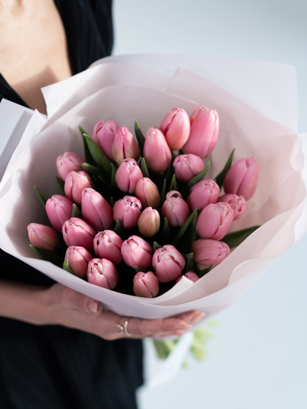 Premium tulips