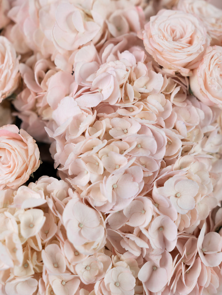 
                  
                    Bouquet Peach Clouds
                  
                