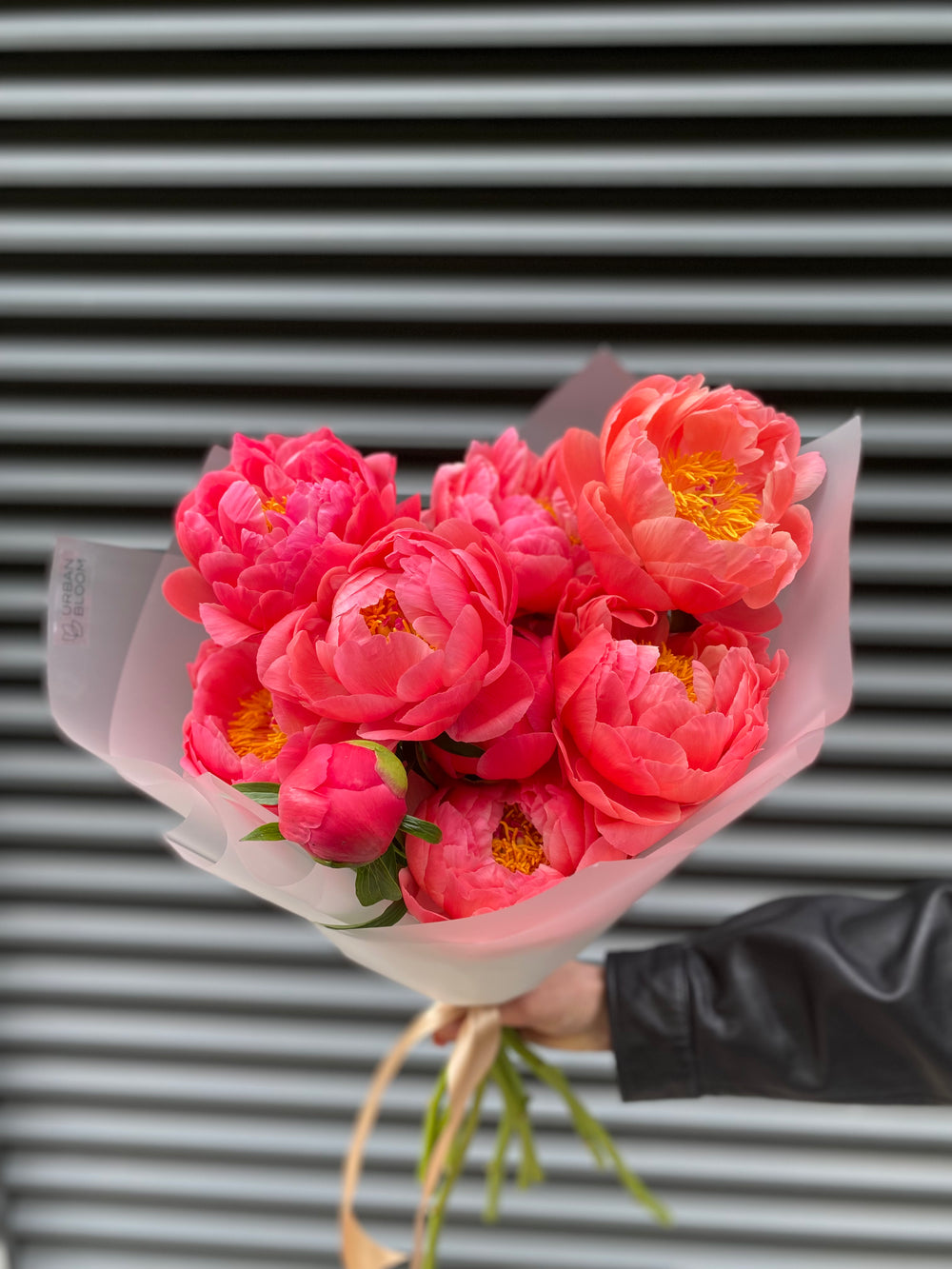 Peonies Coral Charm