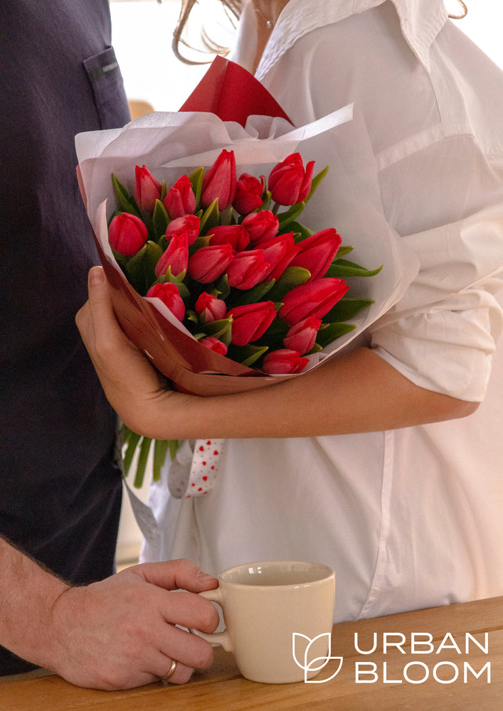 red tulips prague flower