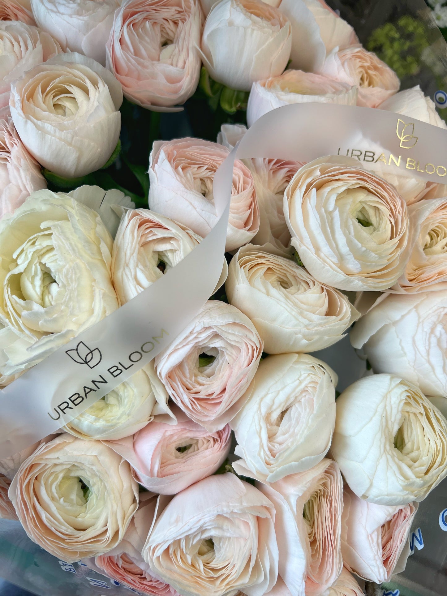 ranunculus flower bouquet prague