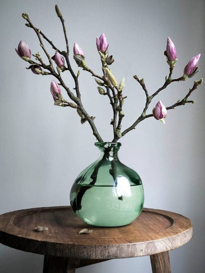 
                  
                    Větvičky magnolií
                  
                