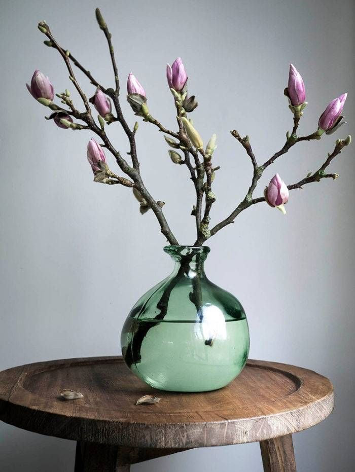 
                  
                    Magnolia branches
                  
                