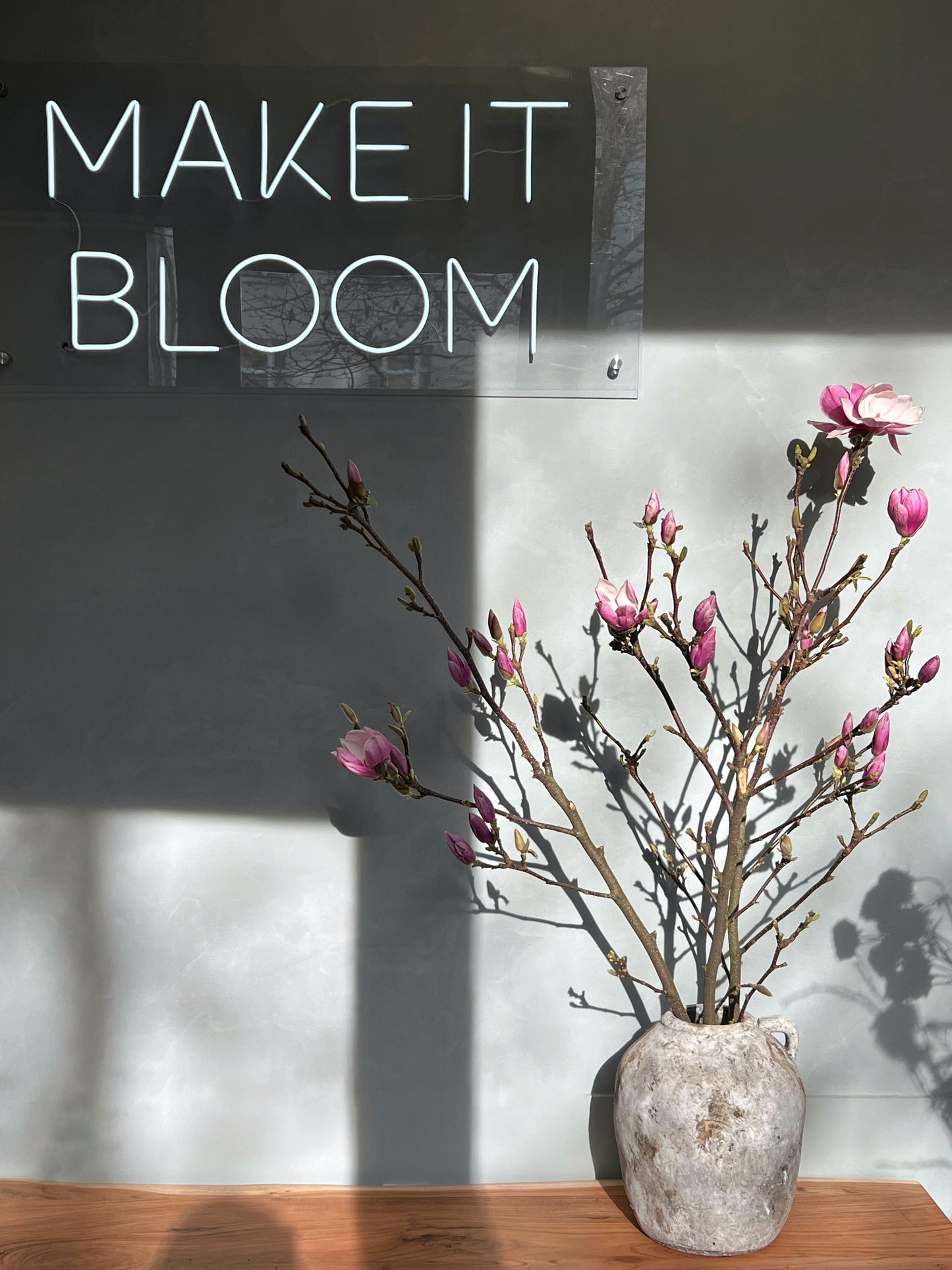 
                  
                    Magnolia branches
                  
                