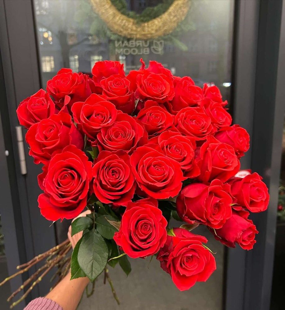 
                  
                    red roses
                  
                